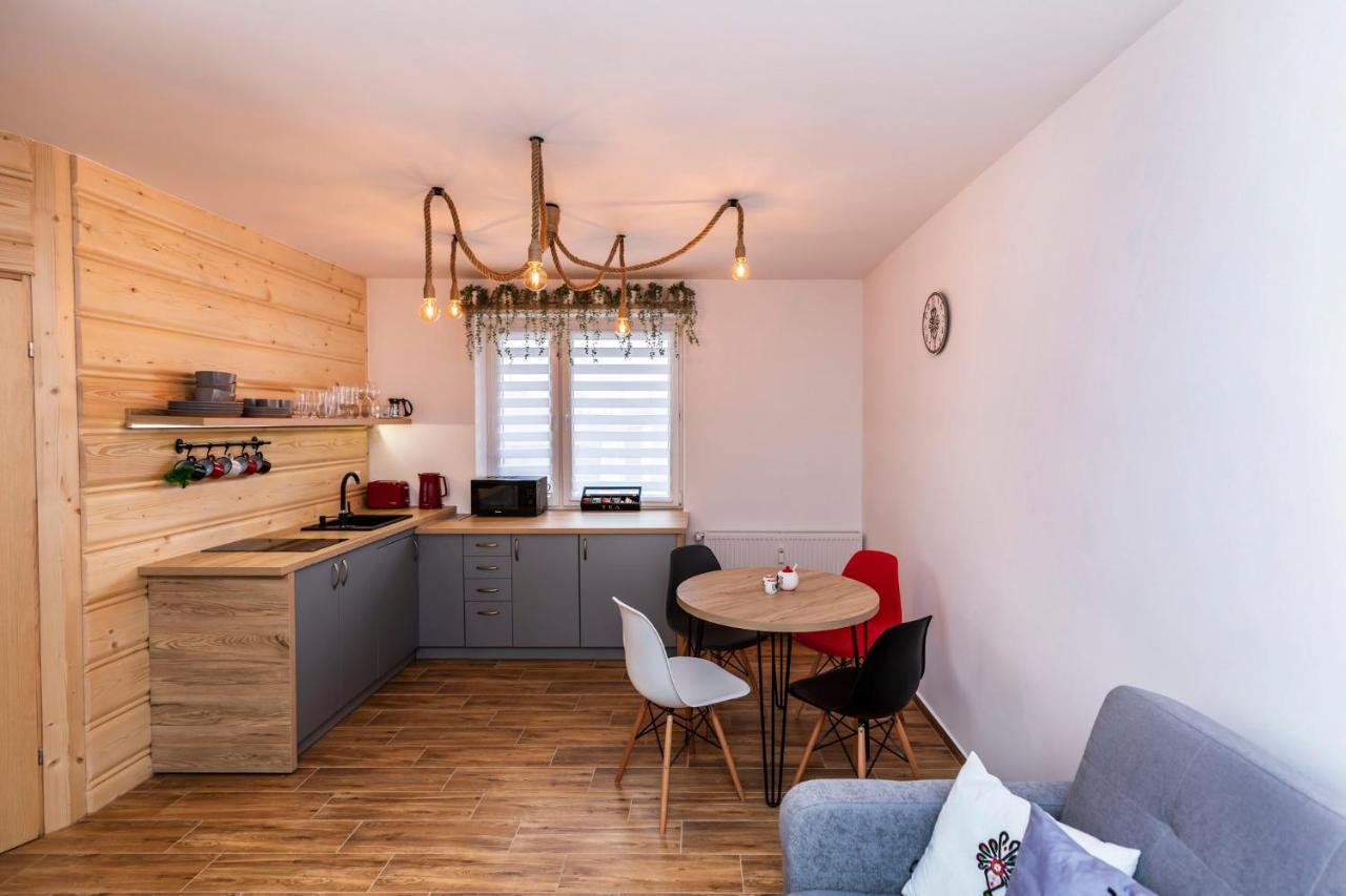 Apartament Hanki Przy Krupowkach Закопане Екстер'єр фото